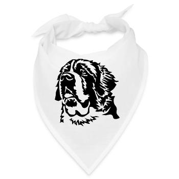 Bernhardiner Kopf - Bandana - Weiß - Vorne