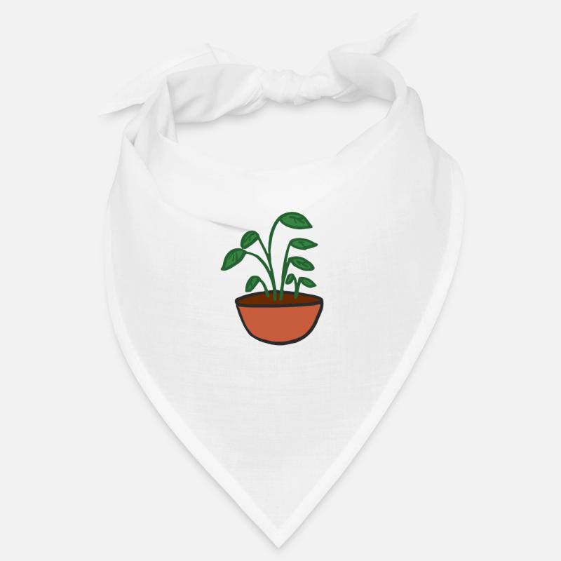 Plante Bandana