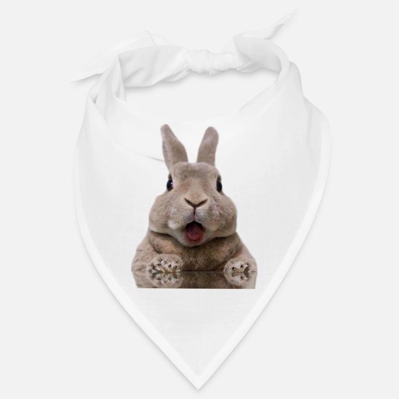 Rabbit Bandana