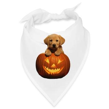 Halloween Labrador im Kürbis: Lustiger Welpe - Bandana - Weiß - Vorne