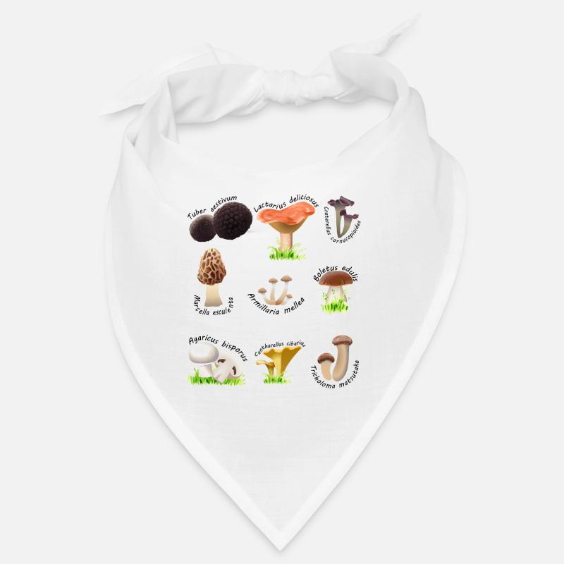 Various edible mushrooms with Latin names Bandana