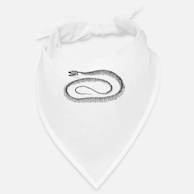 krybdyr skelet Bandana