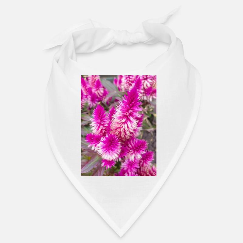 Cockscomb auch Silver Cock's Celosia Bandana