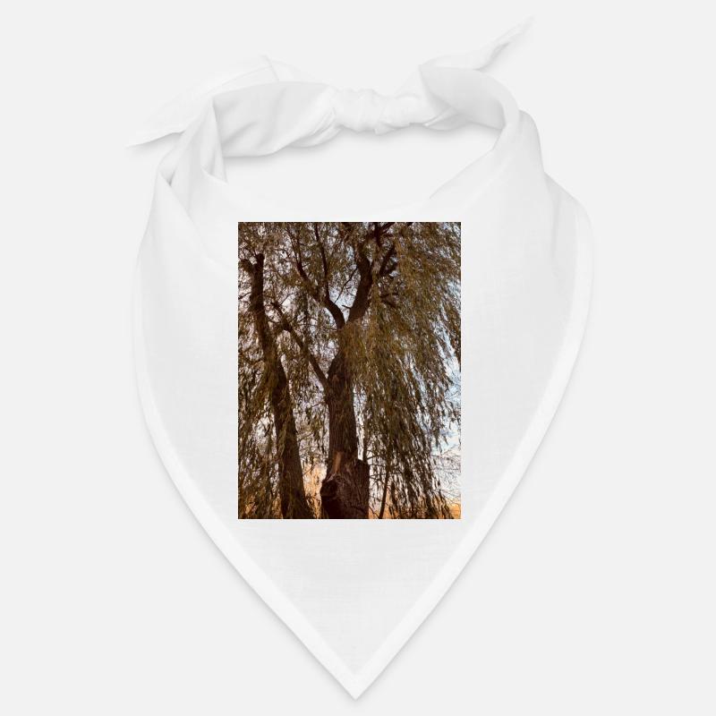 Baum Himmel Braun Herbst Bandana