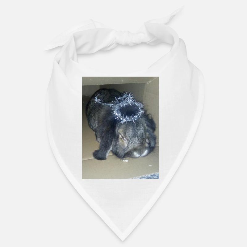 Lapin Bandana