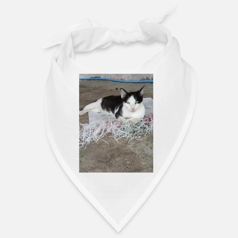 le chats Bandana