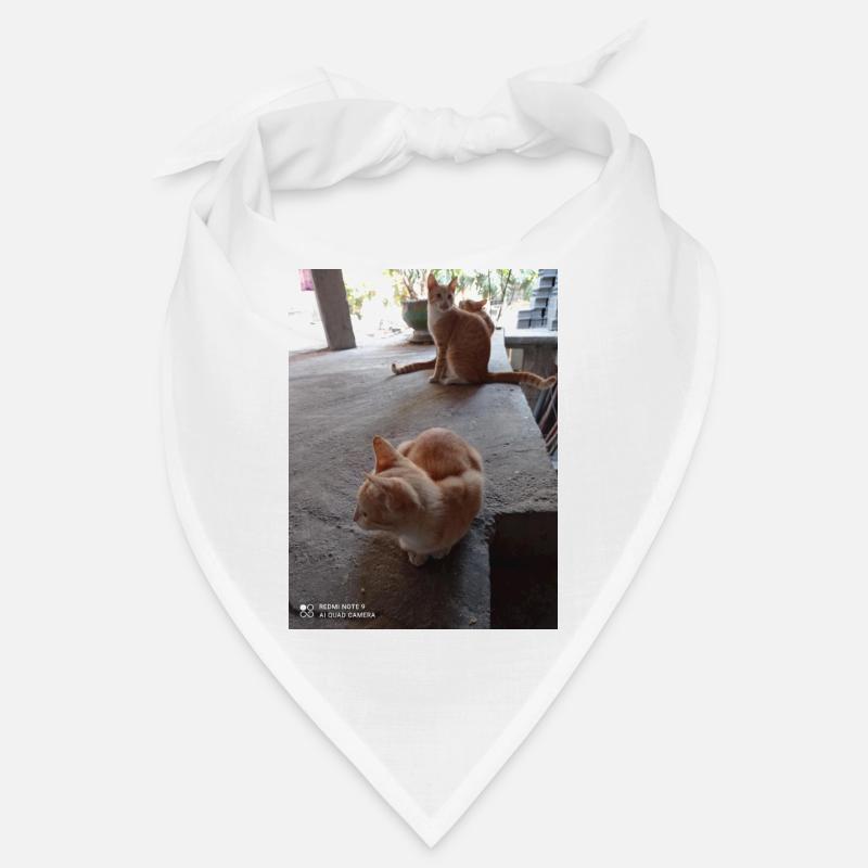 CHATS Bandana