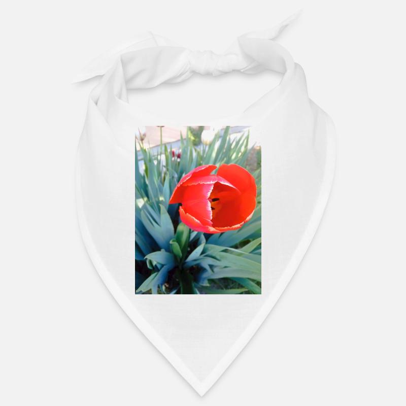 Mon design Bandana