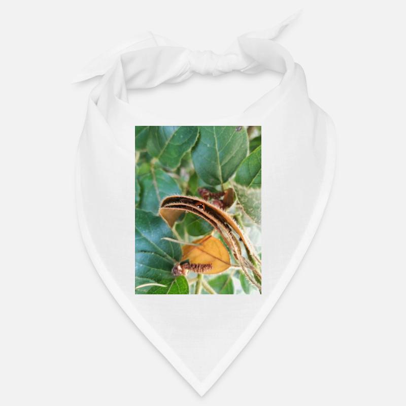 Coccinelle dans feuilles Bandana