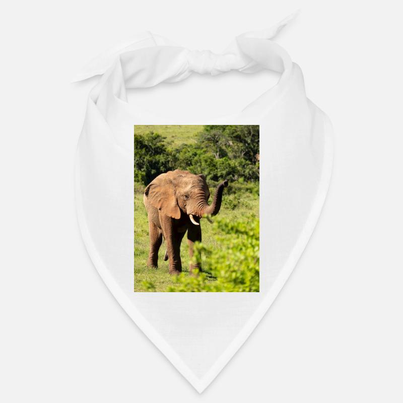 Éléphant Bandana