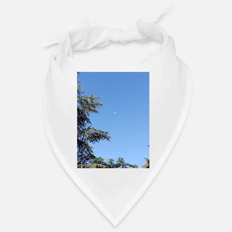 Morning moon and plane Bandana