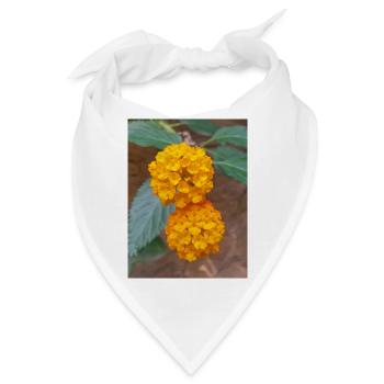 Lantana auch spanische Flagge Wandelröschen Lantana - Bandana - Weiß - Vorne