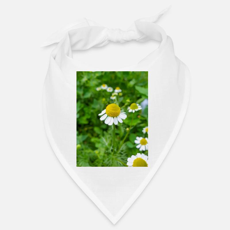 chamomile also kamilla (in german Echte Kamille) Bandana