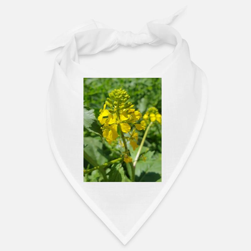 Schwarzer Senf Bandana
