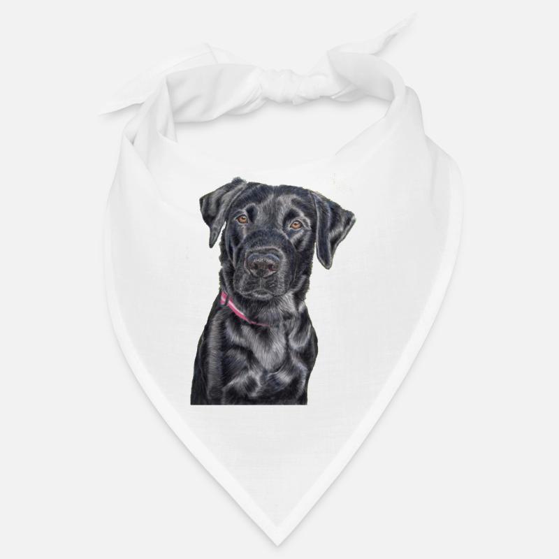 Sentier de terrain du labrador retriever Bandana