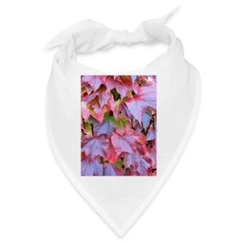 Rote Herbstblätter Reben Herbst Blätter Laub Photo - Bandana - Weiß - Vorne