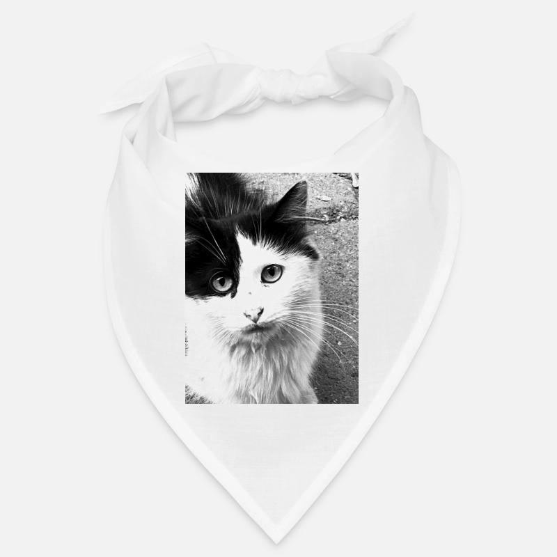 Feline Bandana