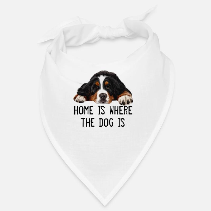 Bouvier bernois Bandana