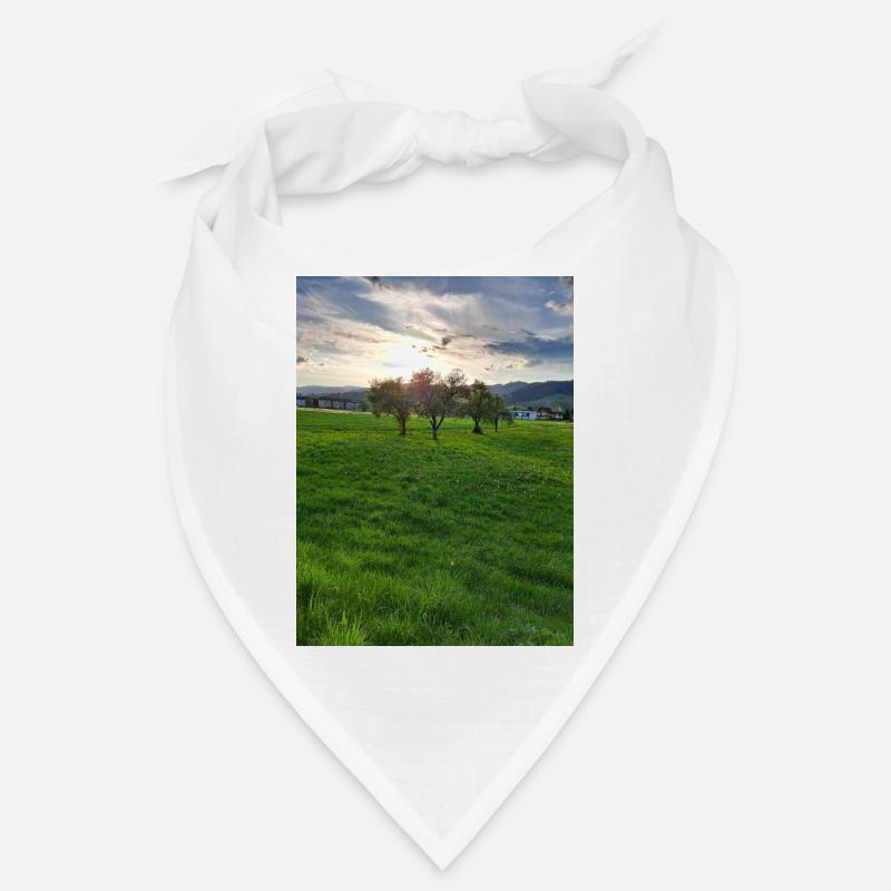 1000013729 Bandana