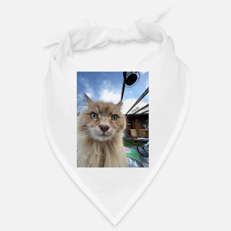 Selfie de chat Bandana