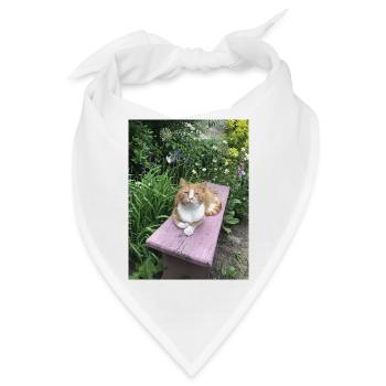 Roter Kater süße Katze kleiner Tiger Blumen - Bandana - Weiß - Vorne