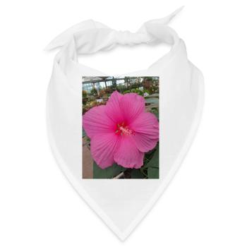 Hibiscus Rose Tropical Glow Textile - Bandana - Weiß - Vorne