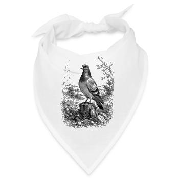 Stolze Taube in Natur im detaillierten Zeichenstil - Bandana - Weiß - Vorne
