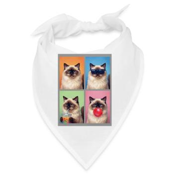 Katzen Himalaya Katze - Bandana - Weiß - Vorne