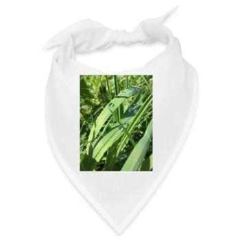 Raindrop - Bandana - Weiß - Vorne