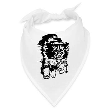 Border Collie - Bandana - Weiß - Vorne