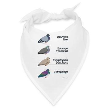 Lateinische Bezeichnung für Taube - Columba Livia - Bandana - Weiß - Vorne