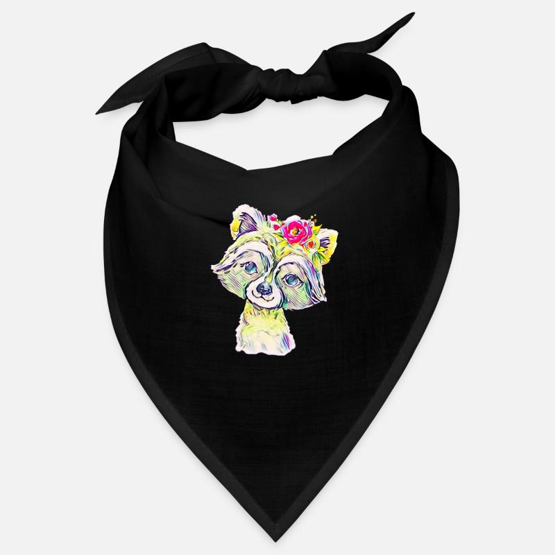 raton laveur Bandana