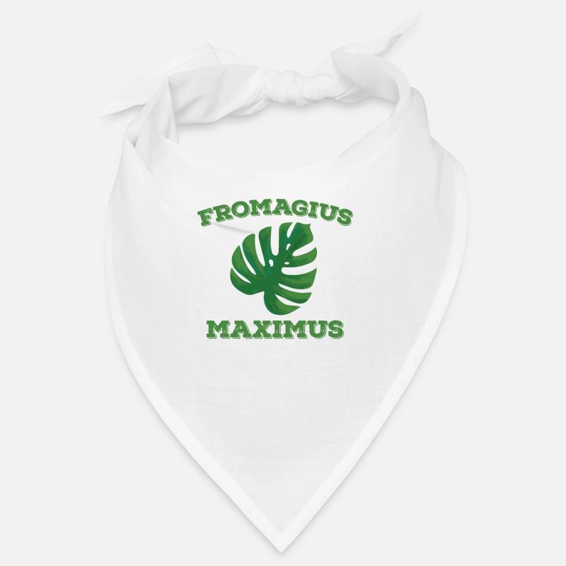 Plante Monstera Fromagius Maximus Bandana