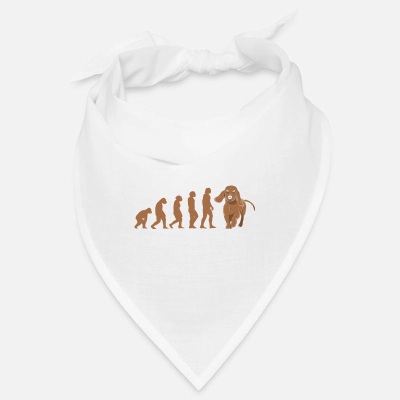 Teckel d’évolution Bandana