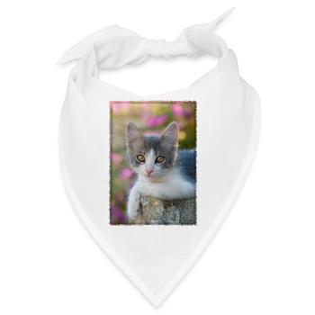 Niedliches grau weißes junges Kätzchen - Bandana - Weiß - Vorne