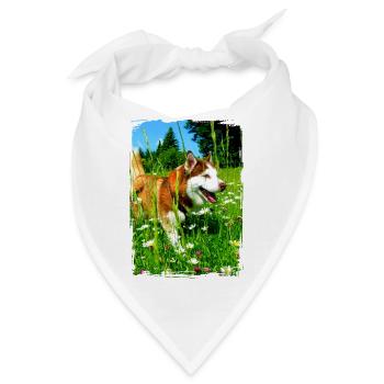Husky im Blumenfeld - Bandana - Weiß - Vorne