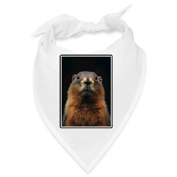 Murmeltiere Murmeltier - Bandana - Weiß - Vorne