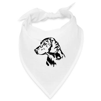 ALPENLÄNDISCHE DACHSBRACKE Hundeportrait Wilsigns - Bandana - Weiß - Vorne
