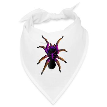 Die bunte Vogelspinne Pamphobeteus ultramarinus - Bandana - Weiß - Vorne