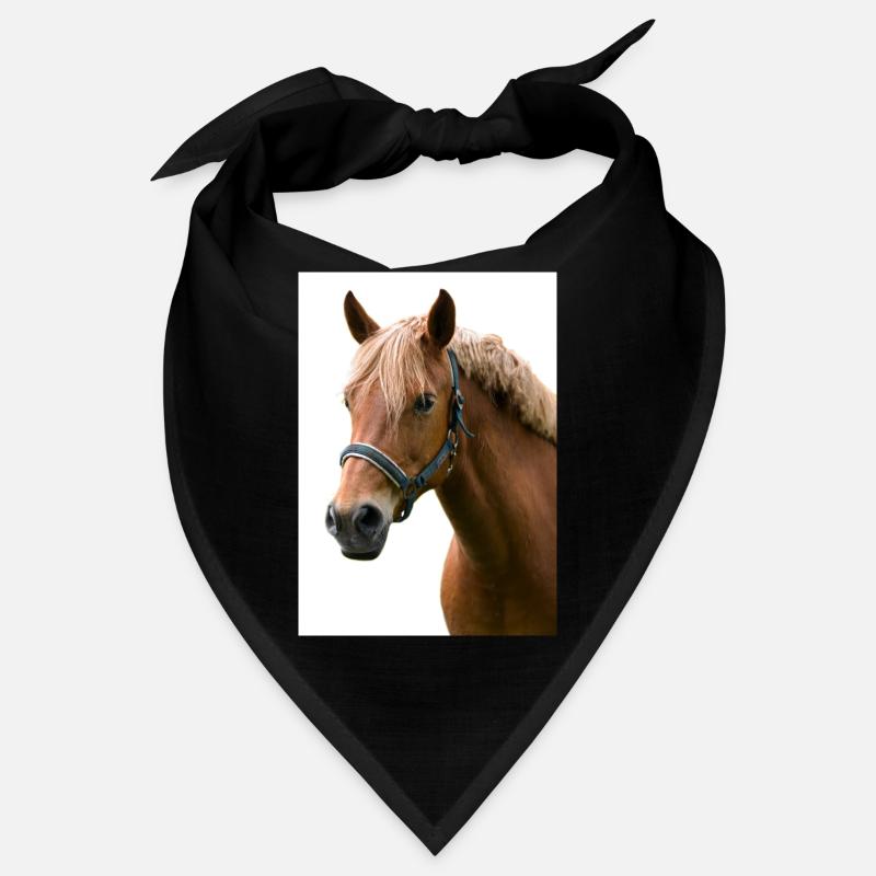 Horse. Pferd. Bandana