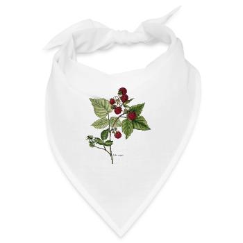 Himbeere - Bandana - Weiß - Vorne