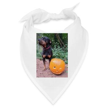 Kürbis Hund Halloween Herbst - Bandana - Weiß - Vorne