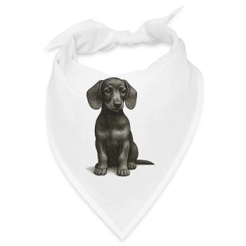 "Kleines Schlappohr" - Welpe Dackel - Bandana - Weiß - Vorne