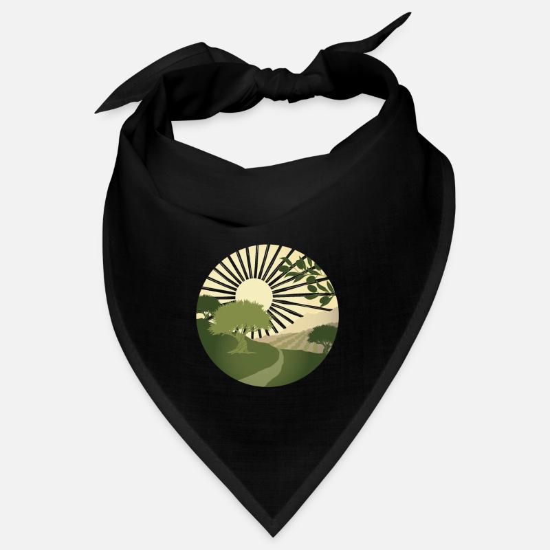 Hike past ancient olive trees Bandana