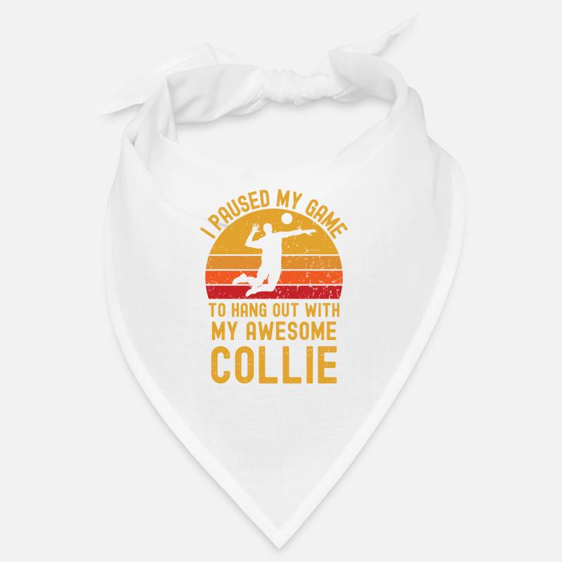 Volleyball et Collie Bandana