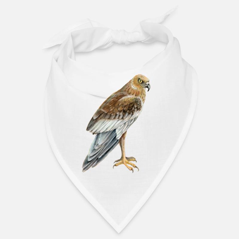 marsh harrier Bandana