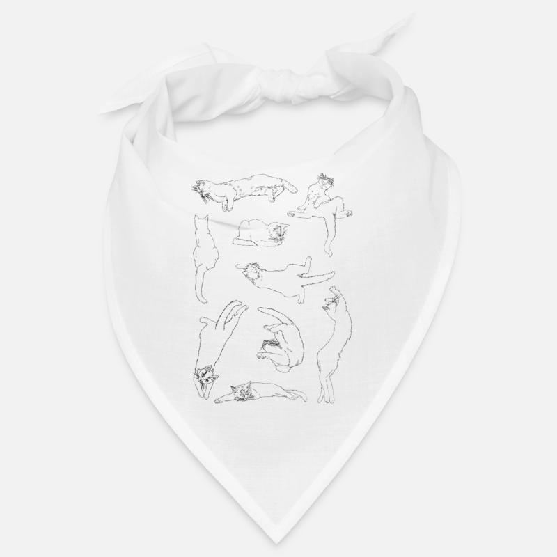 Anatomie du chat Bandana
