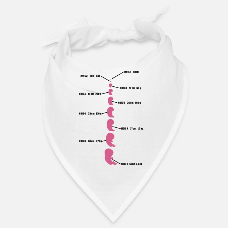 bébé evolution Bandana