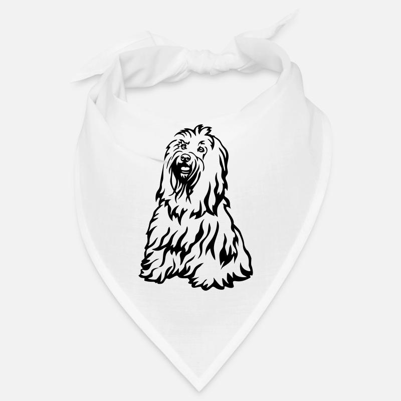 Terrier tibétain Bandana
