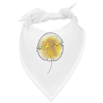 Protoceratium reticulatum - Bandana - Weiß - Vorne